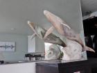 104a Whale 104a Whale