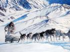 116e Charles Gause Iditarod 1