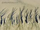 33. The tide glides out quiet nods 33. The tide glides out quiet nods