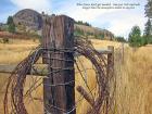 54. When fences dont get mended 54. When fences dont get mended