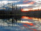 59. Judicial is the sunset 59. Judicial is the sunset
